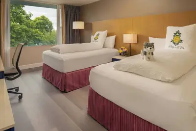 Downtown Escape: Two Family Ready Rooms | Pets Are Allowed