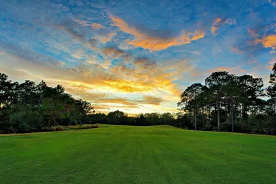 Image de Palmers Par-fect Retreat