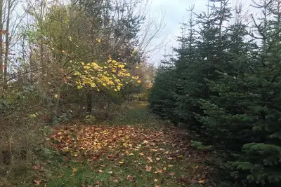 Image de Aunt Janni's Summer Pension