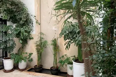 Image de Petit Pacha : L’évasion ultime n’attend que vous