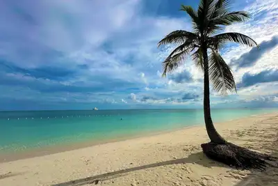 Palm Tree Cove - Stunning Partial Ocean Views; Beachfront Location!