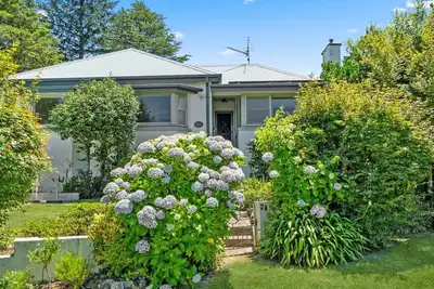 Image de Misty Maples in Katoomba