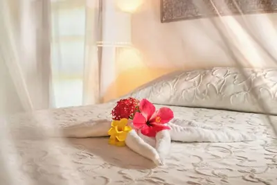 Image de Sea front cottage One bedroom.