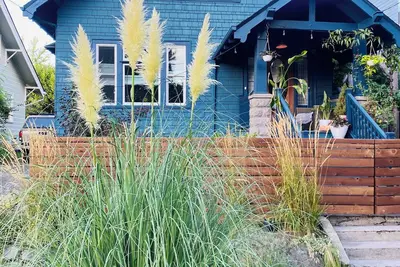 1906 Craftsman in the Gulch - central, walkable, idyllic