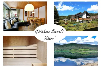Image de Vacation apartment/apartment for 4 guests with 75m² in Schluchsee (268535)