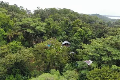 Image de Manipura Room: Private Balcony, Hammock & Stunning Jungle Views!