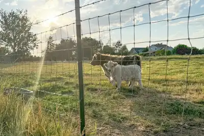 Image de Buffalo Farmhouse Utah, Buffalo Farmhouse - Syracuse