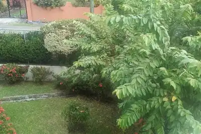 Image de Windy2Baywalk