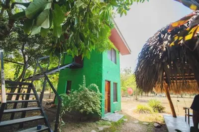 Image de Green House