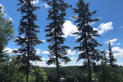 Image de Cottage on Lake Temagami with private access to the lake.