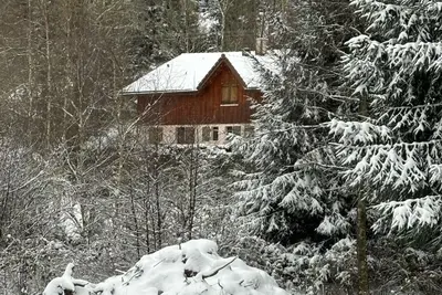 Image de Le Domaine du Bambois Chalet 25pers à 5min de Gérardmer Spa Sauna Etang Pétanque
