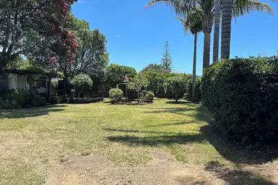 Image de Kiwiana in Cooks beach