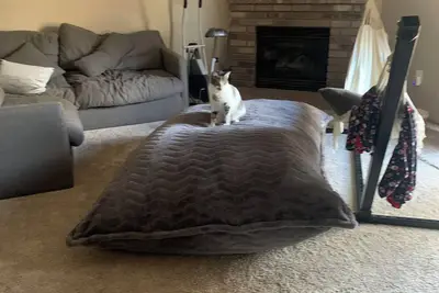 Image de Charming 3-bedroom pet friendly house with hot tub, fitness room, WiFi/Puyallup