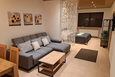 Modern apartment in Oberbexbach, for up to 5 people, with desk & parking space