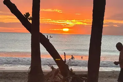 Image de Jungle Beach Stunning Home, 3 Bdrm, 2 Bath, 1 level, 4 min walk to best beaches.