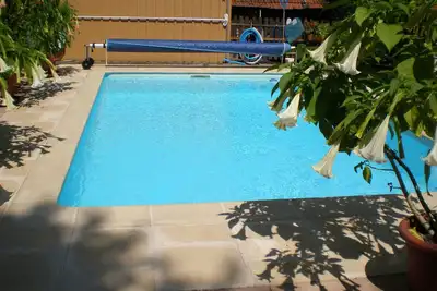 Image de Les Brugmansias à Biesheim en Alsace à 20mn de Colmar