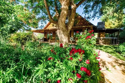 Image de Zion's Cabin and Boujee Barn