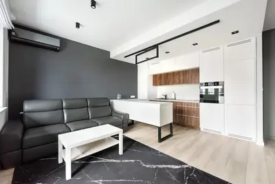 Image de Racjonalizacji Modern Apartment