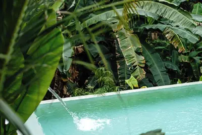 Image de Sacred and Temple Bungalow