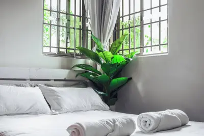 Image de Palm View Apartment