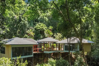 Image de Rainforest Relaxation.