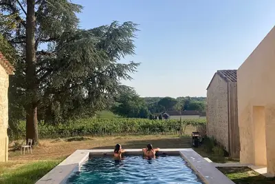 Image de Maison et cottage au milieu des vignes à 5 min de Saint Emilion