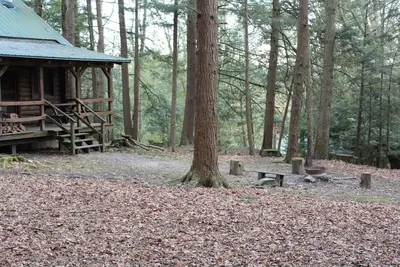 Image de Cozy Log Cabin in Cook Forest with a wood fireplace. ~ Dog Friendly