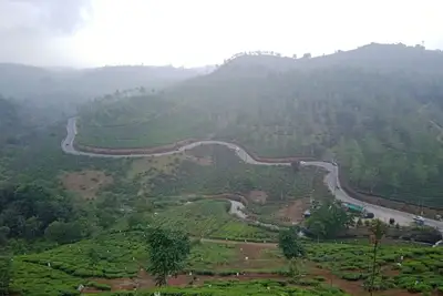 Image de Tea Haven Homestay