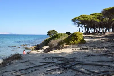 Image de Bel appartement pour 4 personnes avec patio et animaux admis