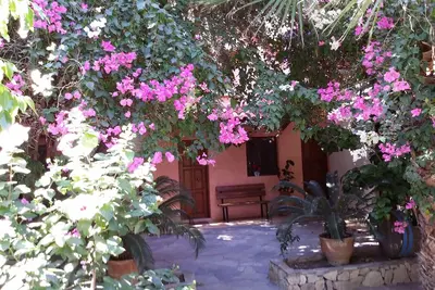 Maison 'Olive Tree 4' avec vue sur mer, terrasse privée et Wi-Fi