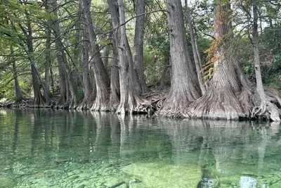 Image de Riverbend on the Frio Cabin 2