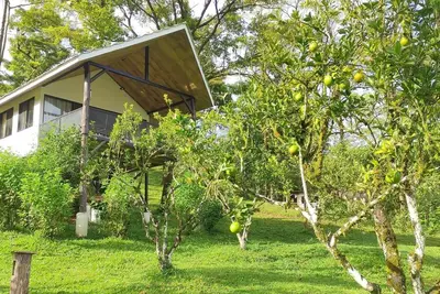 Image de Lodge with Private 40ha Jungle Reserve