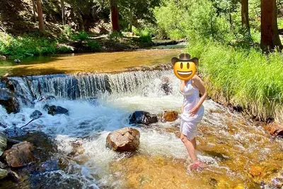 Image de Creekside Oasis in the National Forrest