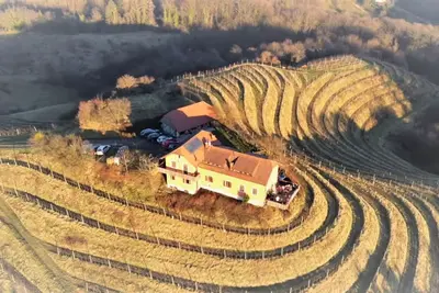 Image de Wine Estate on a Private Hill - Luxury with character for 15+