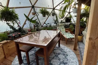 Image de Animal Lovers Dream! 4 Season Tropical Jungle Dome in Burlington!