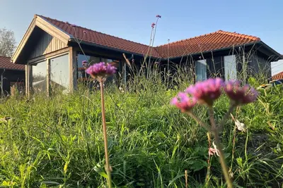 Image de Maison de vacances pour 4 personnes env. 64 qmà Lauwersoog, Groningue (Côte de Groningue)