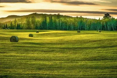 Image de A positively local stay across from Asu