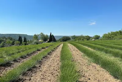 Image de Mas de Lavande, Goult: lavender fields & panoramic views of the Luberon