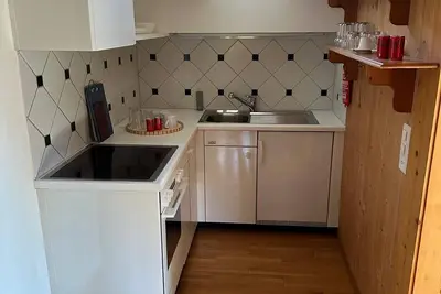 Modern apartment for the Wef