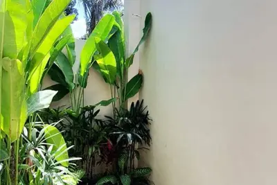 Image de Astonishing 3br villa in Ubud\n\n