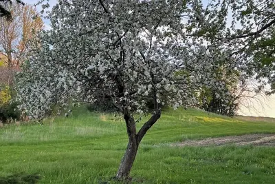 Image de Charming 4-bedroom farmhouse in Rosemount with WiFi and Ac