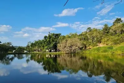 Image de Camboas Atlantic Forest Country House