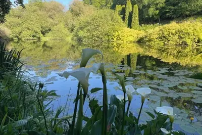 Image de Lodge au cœur de la nature