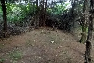 Rabbit's Den @B Berry Farms