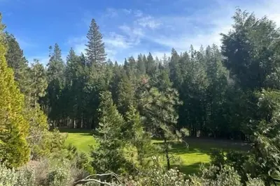 Image de Snowy Owl ~ above 14th fairway w/ loft & deck