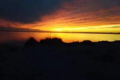 Image de Beach house with stunning views. Armona Island