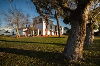 Kukutana: Tailored Escapade & Full-Service Experience. Seville & Doñana Your Way