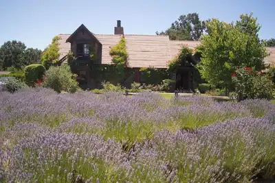 Image de Briarwood Cottage is a four-bedroom, idyllic getaway on the Onx Estate Vineyard!