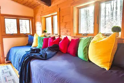 Image de Bring the dog-colorful SacoRiver