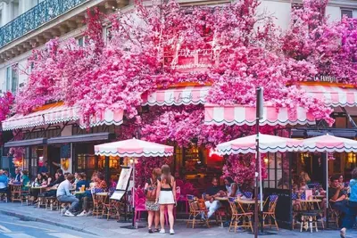 Image de Unparalleled Combination Of Historic Charm & Modern Amenities – Le Marais